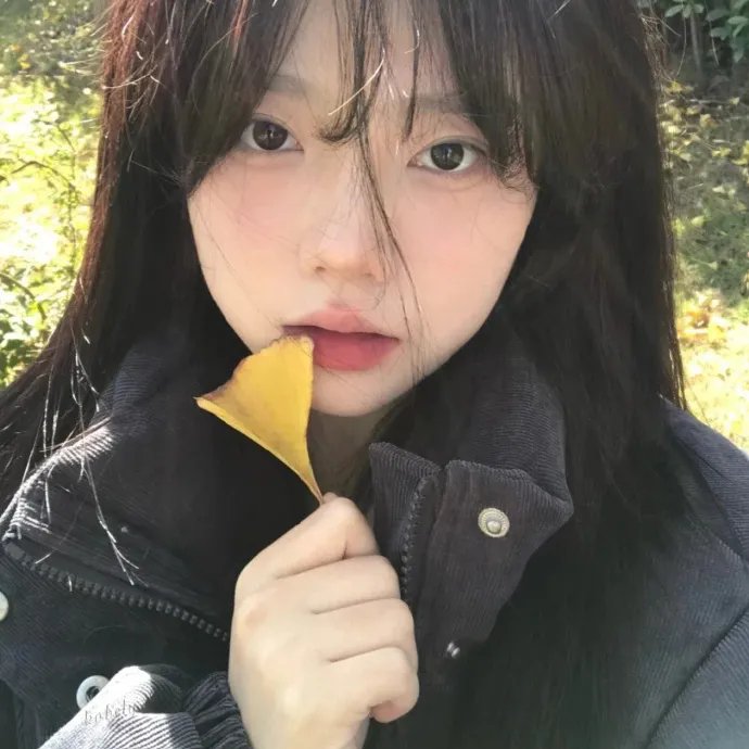 我的天才女友 第三季